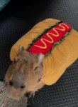 whoseslay Group Thumbnail