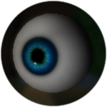Seeker