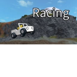 Racing simulator