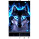 roplex360