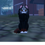 Gillian loves warrior cats so much!