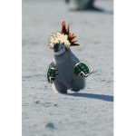 soy wolf
