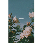 Itchbay