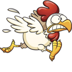 ~Chicken Cult~
