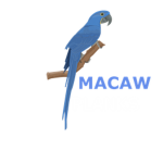 Macaw Planks