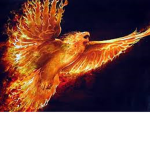 TheBirdMenFAM