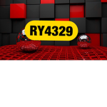 the ry squad