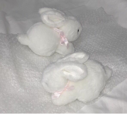 ⋆˚♡˖°