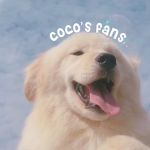 Coco’s fans