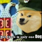 Doge/puppet