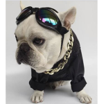Swaggerssssss