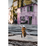 Honeyy comb army
