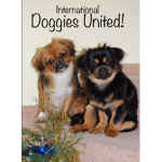 International Doggies United!