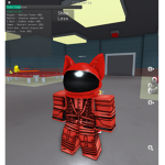 kitty cat tori