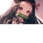 Anime Fans Only !