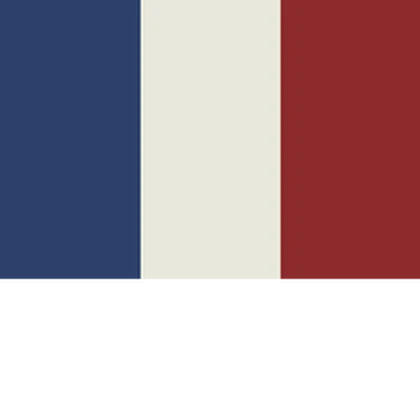 [𝖥𝖱] France Roblox group icon