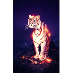 The brave tigers team