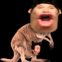 40%