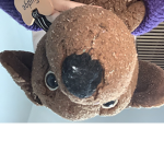 My Fudge is cute
