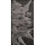 Fatalhrts