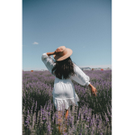 .+*little lilacs*+.