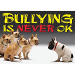 Anti bullying and suiside prevention