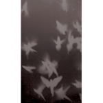 RobloxxGhosts