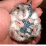 i love hamsters