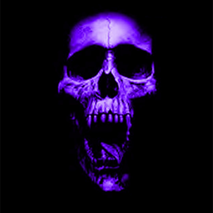 Purple Skull Roblox decal