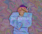 Hollowfilms Fans