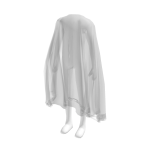 Transparent Cloak