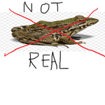 frogs arent real