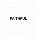 Faithful Designs