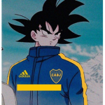 grupo de pros solo se unen los pros