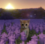 Andy's Pixel Nube