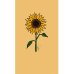 +•Sunflower squad+•