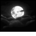 .gg/mooncm