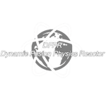 Dynamic Fusion Physics Reactor Group