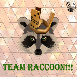 Team Raccoon Hangout!!