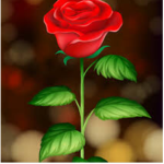 ~{*Roses*}~