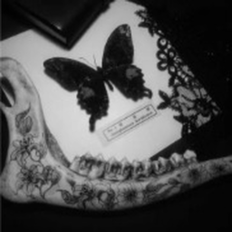 ⋆ ｡ﾟ🖤｡