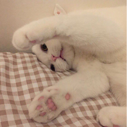 ♡