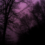 'crazy'