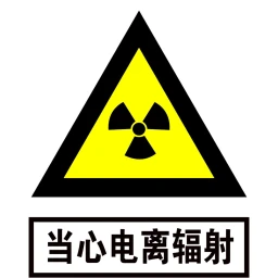 [LYRP]核爆中级测试服务器(工作中) icon