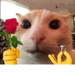 esperemos_seader0pa