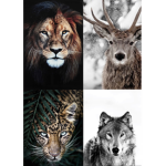 ~Lion~