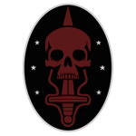 Special Analysis Group "Spearhead" OP-F6R