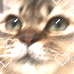 LLLLLLLLLLLLLLLOOOOOOOOOOOOOOOLLLLLLLLLLLLLLL
