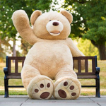 Teddy bears are cool