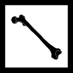 Black Bone